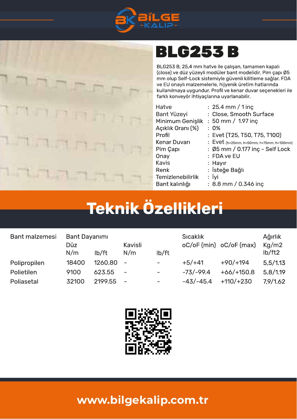 BLG253 B