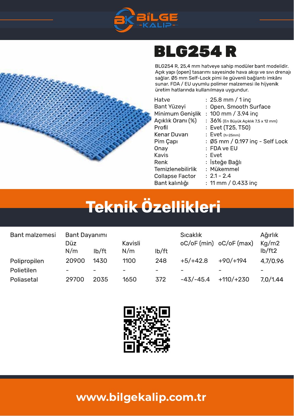 BLG254 R